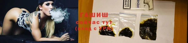 спиды Каменка