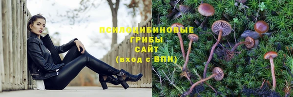 спиды Каменка
