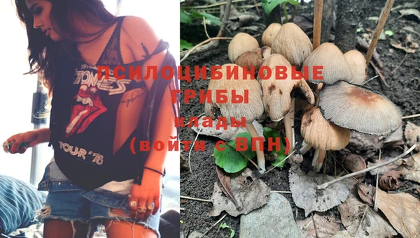марки nbome Каменногорск