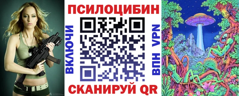 Псилоцибиновые грибы Magic Shrooms  купить закладку  Ковров 