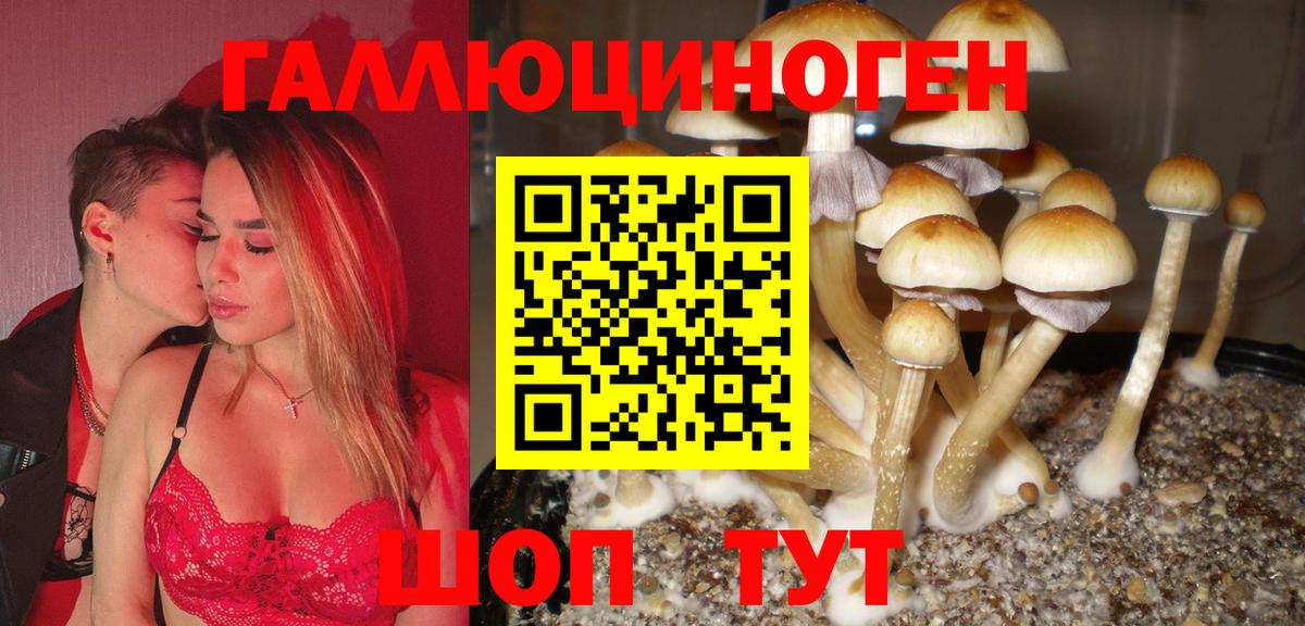 Псилоцибиновые грибы прущие грибы  Вход с VPN  что такое   Ковров 