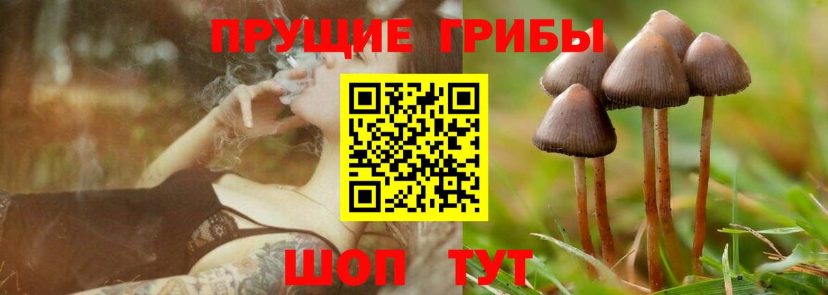 Галлюциногенные грибы мухоморы Ковров